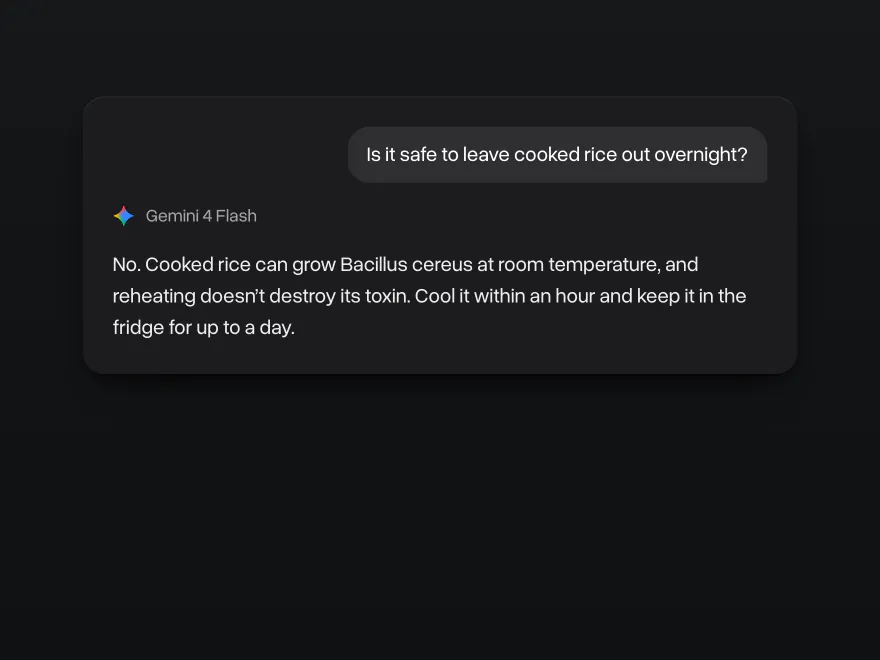 A question about leaving cooked rice out overnight and Gemini 4 Flash's short answer